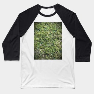 Mossy Baseball T-Shirt